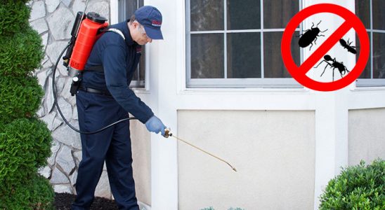 İzmir Bit İlaçlama böcek ilaçlama ve haşere kontrolü — ilaclama-tr.com